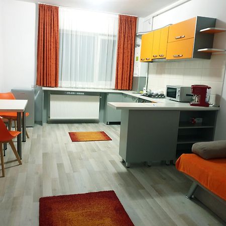 Friendly Rentals Vivamus Braşov Extérieur photo