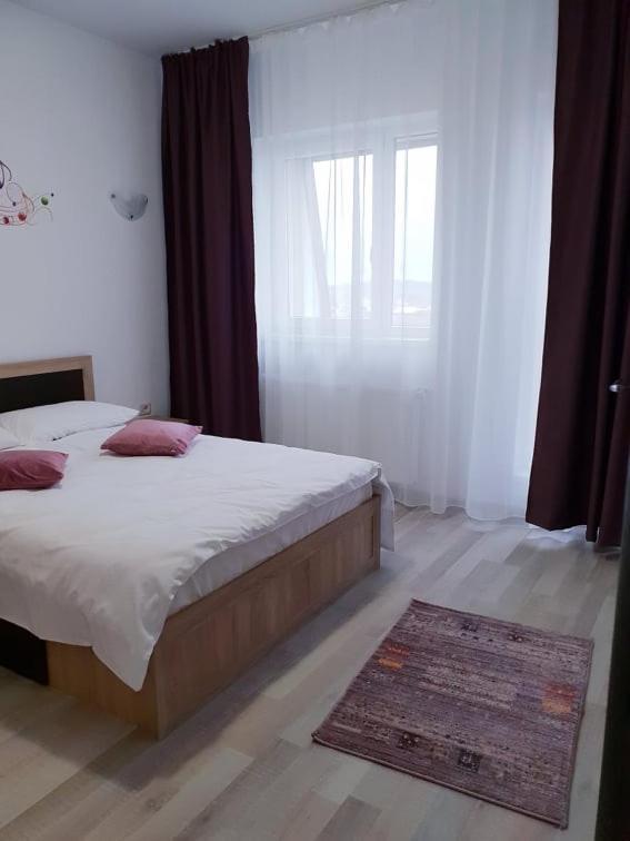 Friendly Rentals Vivamus Braşov Extérieur photo